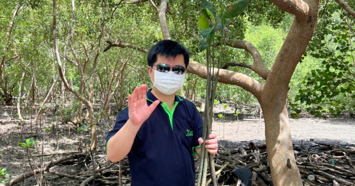 jled plants 300 mangrove trees at Khlong Tamru Mangrove Forest Conservation Center Chonburi Province